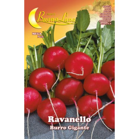 SEMI ORTO RAVANELLO GIGANTE- HORTUS SEMENTI- 10,0 pz