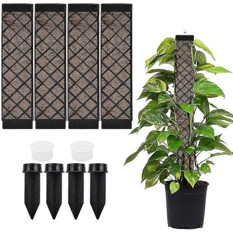 Lot de 4 supports pour plantes grimpantes de 25 cm. tuteurs en mousse de sphaigne. support musqué pour Monstera et autres plantes de jardin (1/5)