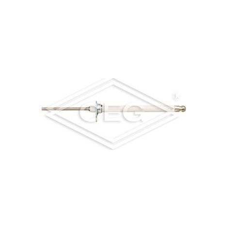 Electrode d’ionisation