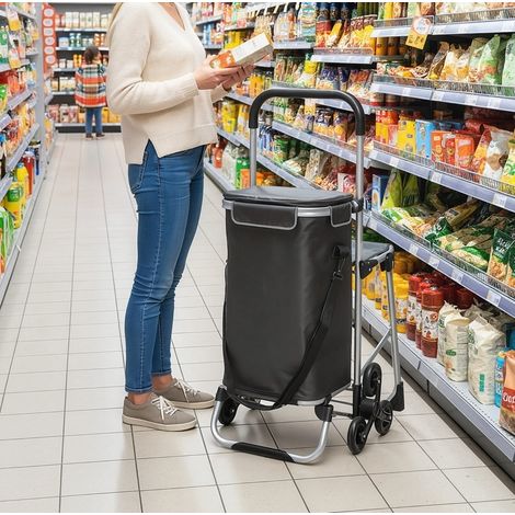 Carro de la compra plegable 40 L con 3 ruedas y asiento, aluminio, gris oscuro DESVIAE (1/5)