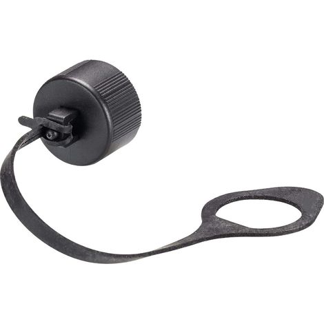 Wieland Mini RST16i5/4 Verschlussstück Kodierung schwarz mit Befestigungsband