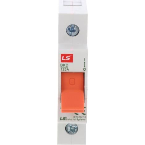 Interruttore sezionatore modulare 1P 125A BKD-100-1 06110114R0