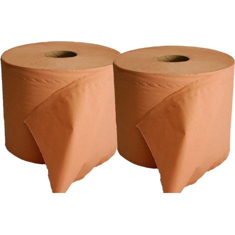 Lot 2 Bobines Chamois Ouate Essuyage Recyclee 2 Plis - 1000 Formats 22x30 cm - Resistante Humide - Atelier (1/2)