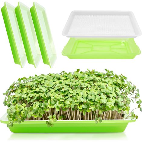 3 Pack Watercress Growing Bowls - Shoot Growing Kit with Drip Rack, Germination Trays for Soilless Shoots, Microgreens and Watercress (1/5)