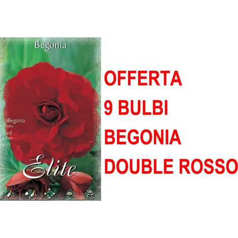 OFFERTA 9 BULBI PRIMAVERILI BEGONIA DOUBLE ROSSO BULBS FIORI