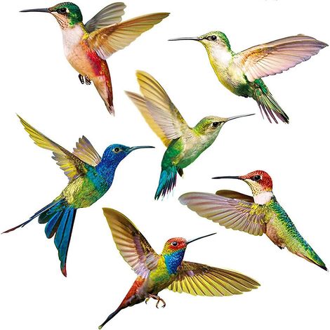 Fenêtre D'Autocollant Anti-Collision 6 Pièces Autocollant de FenêTre de Colibri Oiseaux Stickers Pour FenêTre Autocollant Verre Decal Anti-Collision FenêTre Cling Pour PréVenir des Oiseaux Strikes (1/5)