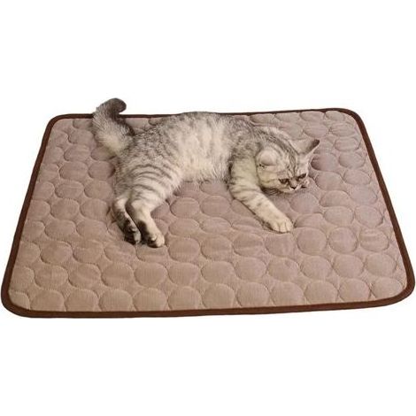 Kühlmatte für Hunde und Katzen – Selbstkühlendes Eisseidengewebe – Kein Stromanschluss erforderlich – Für Käfig, Sofa, Bett, Boden oder Autositz – 60 x 40 cm – 1 Stück (1/5)