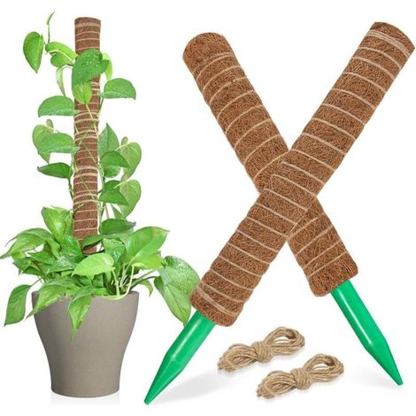 Tuteur Monstera, 4 PCS 40 CM Tuteur Coco, Sphaigne avec Bande Crochet, Serre-câble et Ficelle, Tuteur Plante Grimpante pour La Maison Jardin Intérieur Plante Monstera (1/5)
