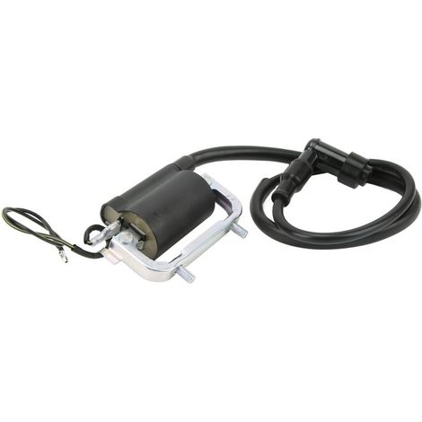 Jeffergarden Bobine d'allumage mini moto avec capuchon 30530 126 921 pour CT70 Trail Bike 19691982-DOU