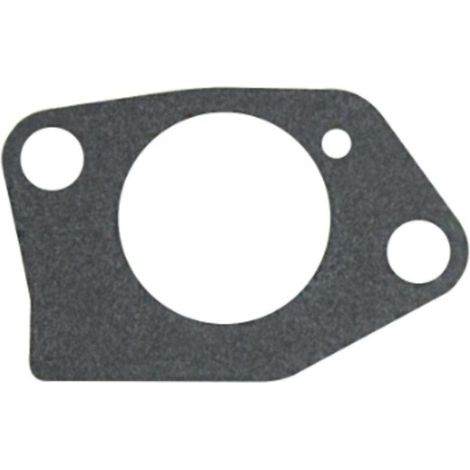 Joint de carburateur de tondeuse à gazon ORIGINAL 170430099-0001