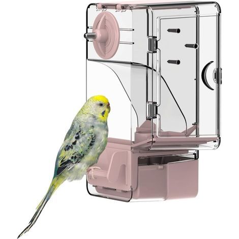 Mangiatoia automatica per uccelli, mangiatoia per gabbia con posatoio, supporto multifunzionale per frutta e verdura per parrocchetti, canarini, calopsitte, fringuelli (rosa) (1/4)