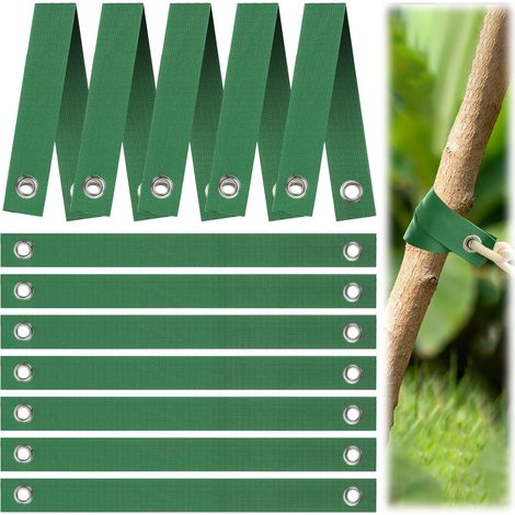 Sangles de Soutien pour Arbre avec œillets, 12 Pièces Sangles d'arbre, Attaches pour Arbres, Sangle Arbre Tuteur pour Jeunes Arbres Nouvellement Plantés et Protection Contre Les Ouragans(Vert) (1/4)