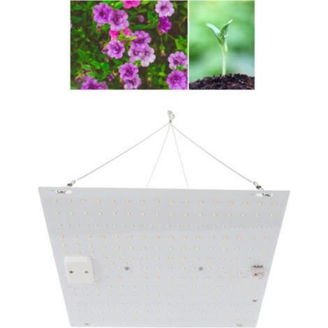 Lampes de croissance à LED pour plantes d'intérieur IP65 Lampes de croissance de plantes à spectre complet étanches pour semis, végétation et floraison AC100-277 V Prise UE, (1/4)