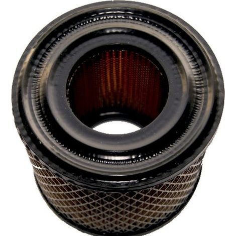 Filtre à Air Adaptable Pour Briggs & Stratton: Series 170400, 171400, 190400, 194400, 195400, 220400, 221400, 222400, 233400, 24 (1/3)