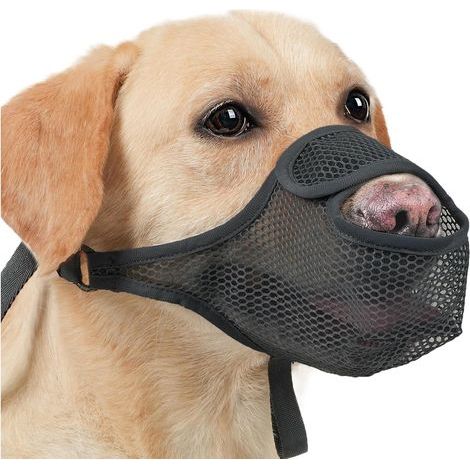 Muselière pour Chien - Anti-Morsure Ajustable Garde Sécurisé Garde Buccale Muselière pour Animaux Anti-Léchage Maille Douce pour Adultes, Amateurs d'animaux, Famille Et Animaux De (1/5)