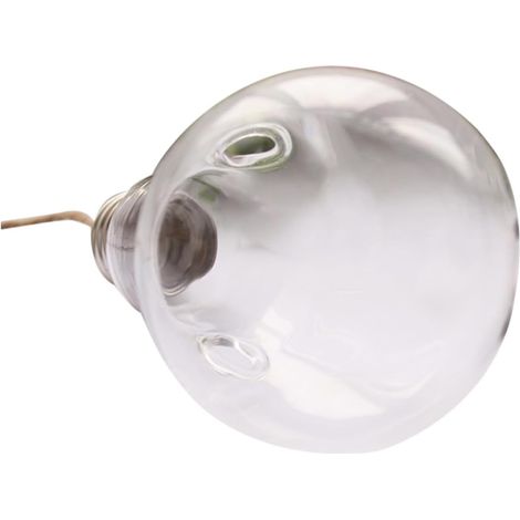 Jardinières murales en verre Hemoton forme d'ampoule, pots de fleurs ronds borosilicate (1/5)