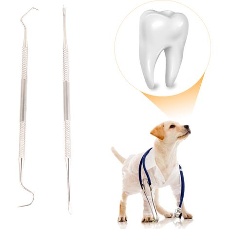 Détartreur Dentaire pour Chien, Double Tête en Acier Inoxydable - Outil de Nettoyage Dentaire pour Animaux avec Différents Angles (1/5)
