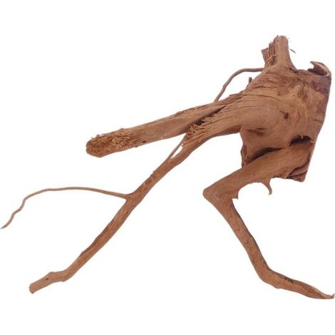 M Moorkienwurzel Nr.3445 Holz Deko Aquascaping
