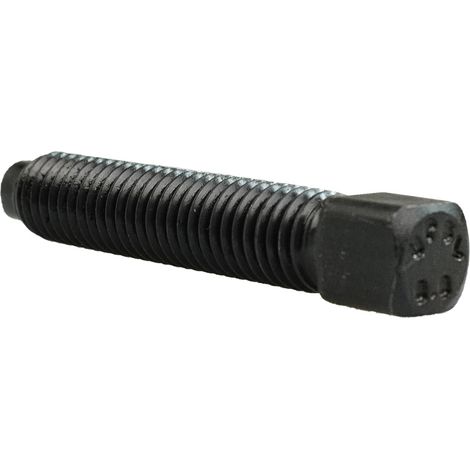 Reidl DIN 479 Vierkantschrauben, M 10 x 50, mit Kernansatz, 8.8 blank (1/3)