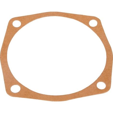 Junta 0,3 mm MASCHIO M27100134R