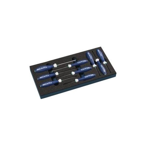 Nom Module d'outils 9 pcs 1/3 Module T 6-T 30 TECWERK (1/2)