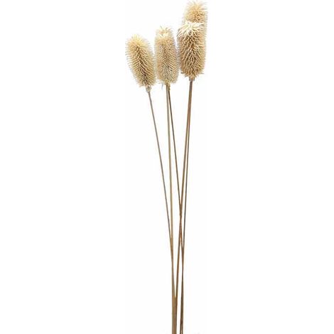 Bouquet of Dried Tall Thistle Artificial Plant - L12 x W12 x H60 cm - White