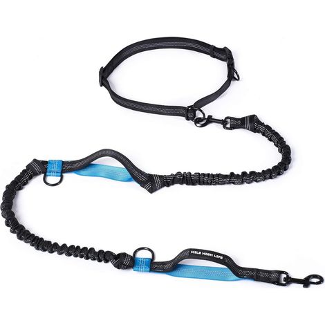 1 Laisse de course pour chien, ajustable, avec deux poignées rembourrées, élastique durable, réfléchissante, pour petits moyens grands chiens (1/5)