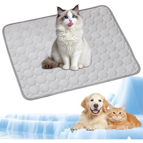 1 Stück Haustier Kühlmatte, Selbstkühlende Hundematte, Kühldecke Katzen mit Kühlendes Gewebe, Ungiftig Kühlkissen für Haustiere, Waschbar Hund Kältematte für Zuhause, im Freien und im Auto, 62x50cm, M (1/5)