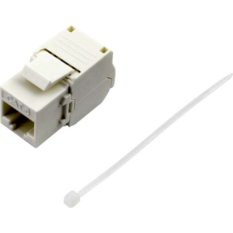 TRU COMPONENTS  RJ45 Kupplung, CAT 6 93038C369 Kupplung, gerade   Polzahl Sensoren 8 Weiß 1 St.