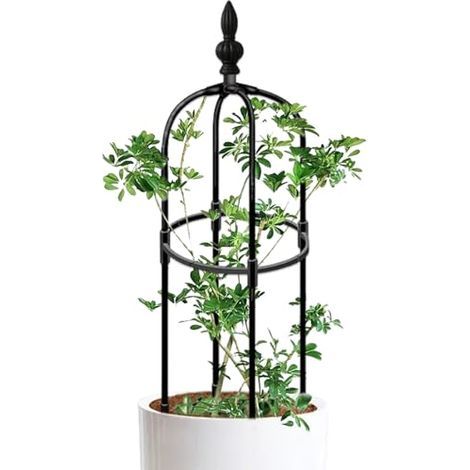 Jardin obélisque Treillis 3 Pieds de Haut Rond Rouue Rustproofing Trellis Plant de Bricolage Plant Facile à Assembler pour Les Pots Plantes d'escalade intérieure, intérieure (1/5)