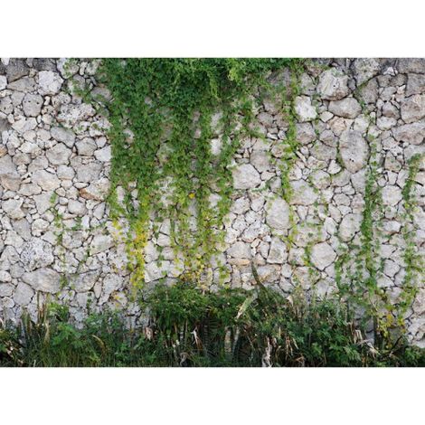 Papier peint panoramique gris imitation pierre Tapisserie panoramique plantes grimpantes Papier peint panoramique nature vert pour salon (1/4)