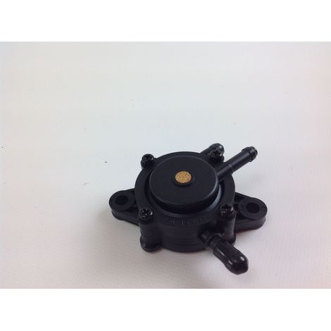 Bomba gasolina motor tractor cortacésped compatible BRIGGS 808656 (1/4)