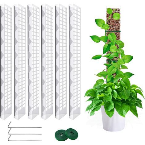 6 Pièces 60cm Tuteur Sphaigne,Tuteur Monstera, Moss Pole pour La Maison Monstera Jardin Plante Grimpantes Extension De Support De Plante (1/5)