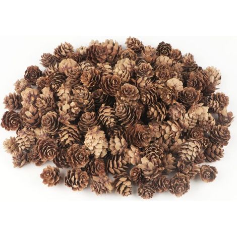 Cônes de pin naturels mini vrac 120 pièces, artisanat Noël Thanksgiving décor automnal maison centre table couronne (1/4)