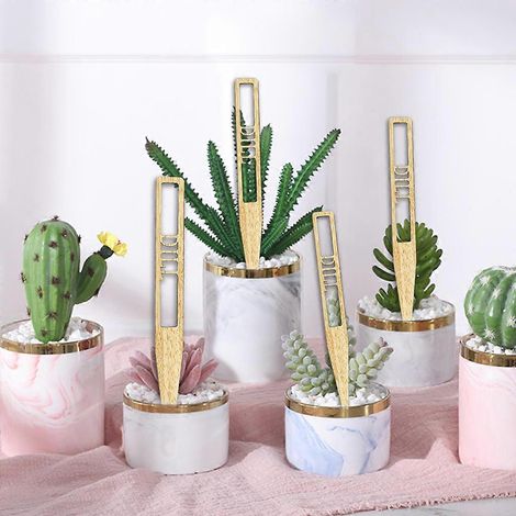 Lot de 12 étiquettes pour plantes, lettres creuses, marqueurs de jardin, bâtonnets en bois pour herbes aromatiques, plantes en pot, fleurs et légumes. (1/4)