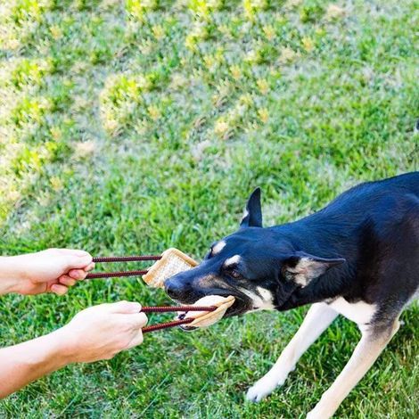 Kauspielzeug aus Jute für Hunde, robustes und langlebiges Spielzeug für mittelgroße bis große Hunde (1/4)
