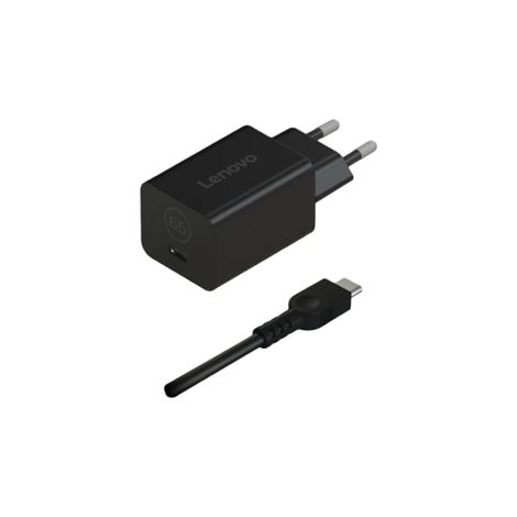 40AWGN65EU adaptador e inversor de corriente Interior Negro