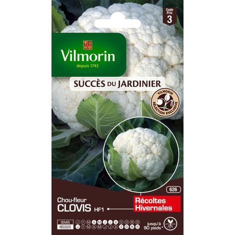 Sachet graines Chou fleur Clovis HF1 (1/3)