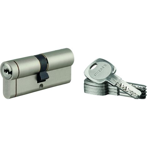 THIRARD - Lot de 10 cylindres Transit 1 45x50mm, nickelé, 5 clés - THIRARD