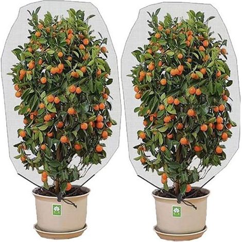 Set aus 2 Pflanzenschutznetzen mit Zugseil, Abdeckung für Gartenpflanzen, zum Schutz der Pflanzen, 0,8 x 0,8 m
