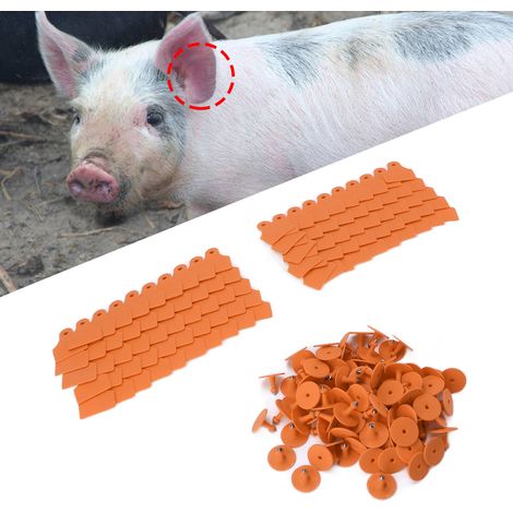 100 Lose/Verkauf von speziellen Ohrmarken für Nutztiere, leere Anti-Fall-Ohrmarken für Sauen und Schweine, orange Farbe. (1/5)