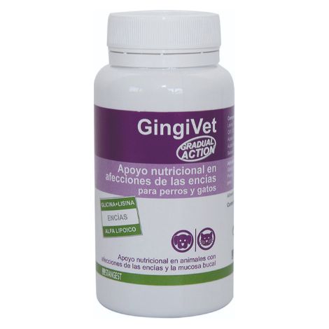 Stangest Gingivt 60CPD