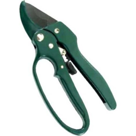 Cepillo para mascotas Cricco 210 Ilcampo 03496