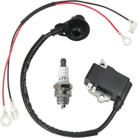 Bobine d'allumage haute tension compatible avec TS410 TS420 4238 400 1301 (1/4)