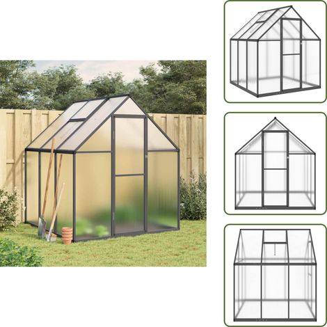 The Living Store Serre avec cadre de base anthracite 169x169x195 cm aluminium - Serre De Jardin - Serre Portable - Serre En Polycarbonate - Abri Jardin - Protection Plantes