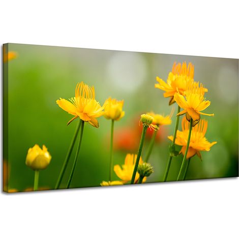Leinwanddruck Botanik Gelbe Blumen 120x60 cm