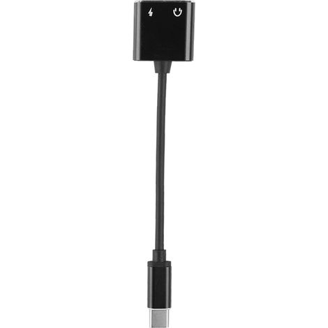Adaptateur audio 2 en 1 3,5 mm Type C pour casque (noir) (1/5)