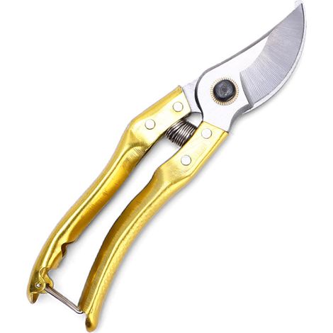 Secateurs - Coupe-Branches Manuel - Pour Taille Arbres Fleurs et Haies - 1 Pièce (1/5)