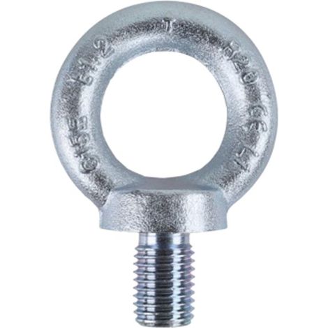 GOLFARI MASCHI ROBUR ZN A.8040EZS MM.12