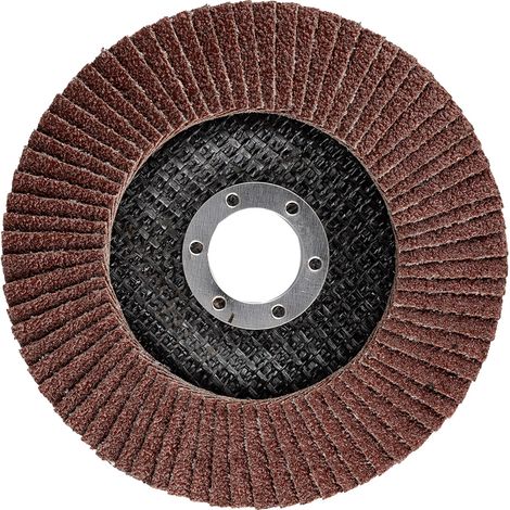Disco lamellare 125 x 22,2 mm, P40 (1/3)